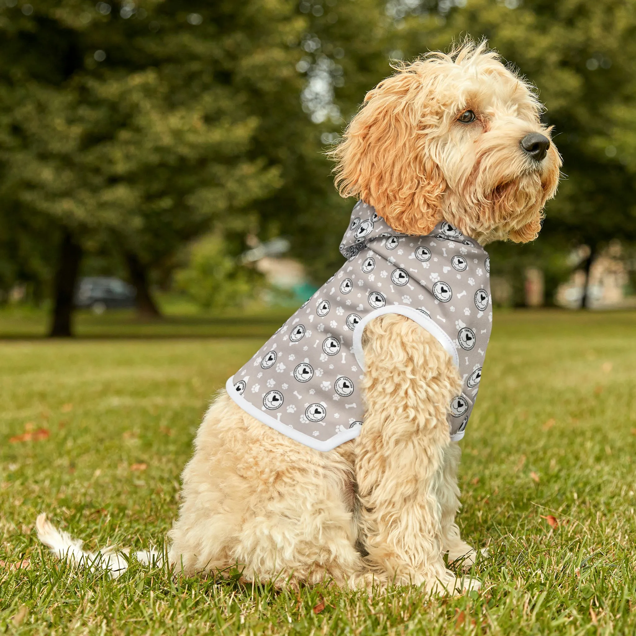 Squeaky Toy Enthusiast Pet Hoodie